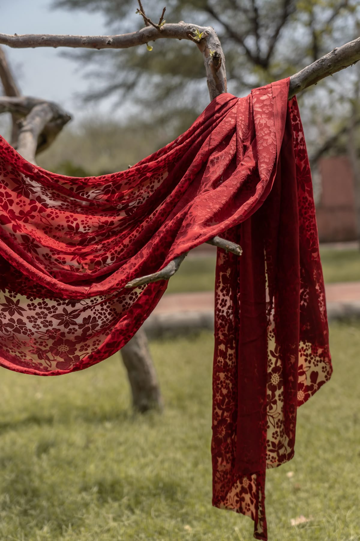 Daily Drapes